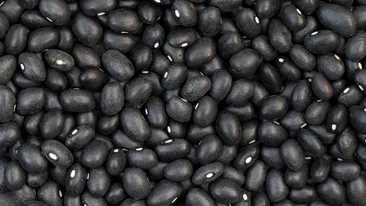 Fasolea neagră, sursă importantă de fibre și proteine. De ce o includ specialiștii în alimentație în meniul zilnic