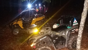 Întâlnire de gradul zero pe munte! Ursul le-a ieșit în cale. Cum au fugărit turiștii fiara VIDEO