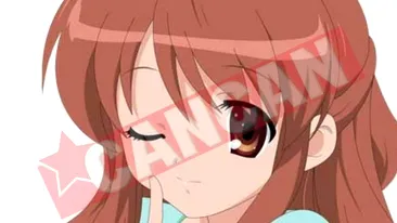 Vrea sa se insoare cu un personaj animat