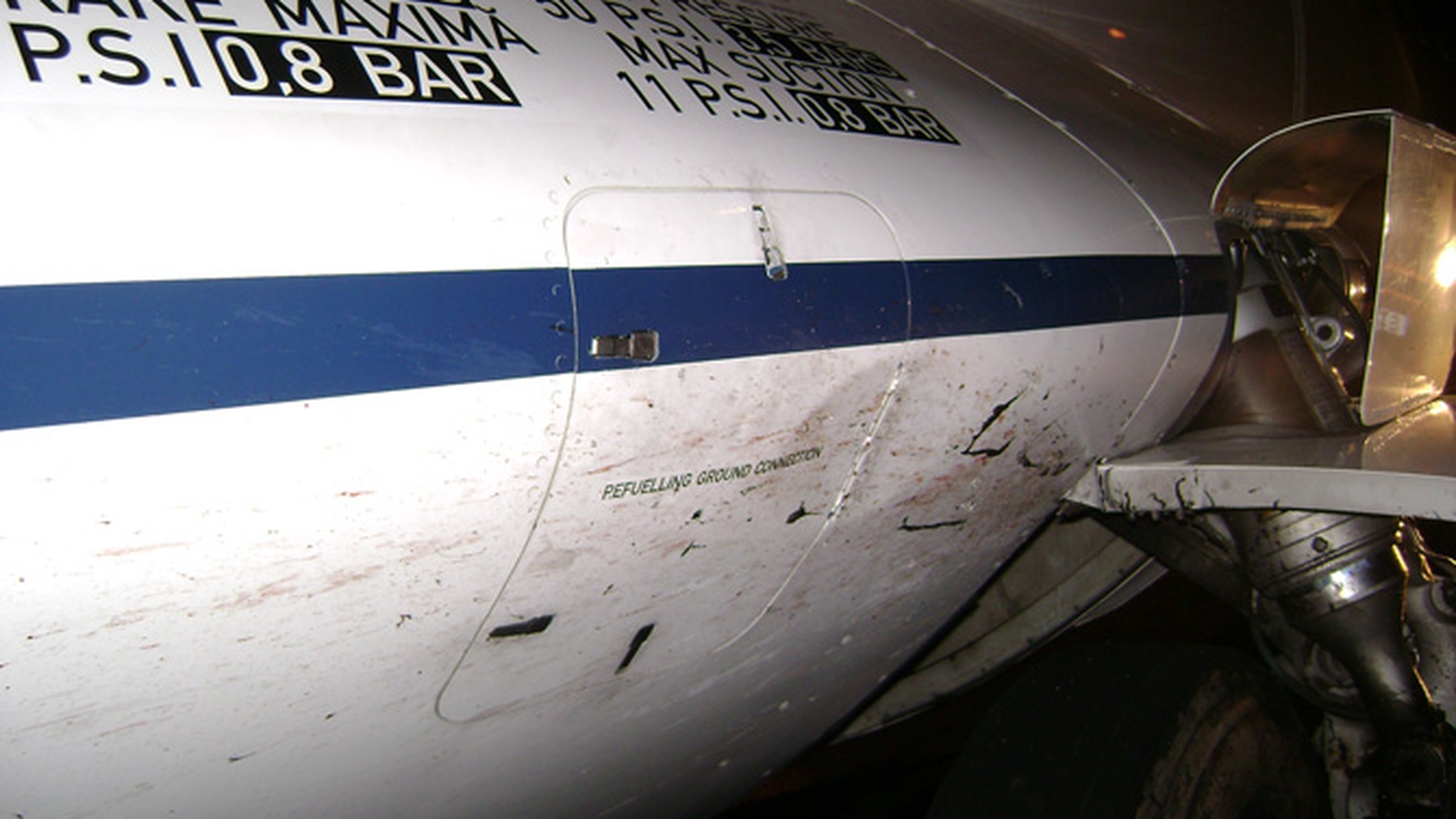 Angajati ai Aeroportului Iasi, cercetati dupa ce au transat mistretul lovit de avionul in care se afla Daniel Funeriu