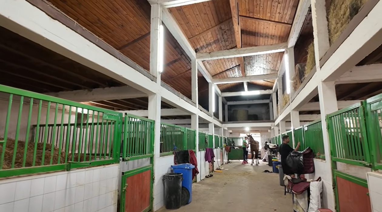 Acasă la Nuțu Cămătaru. Cum arată domeniul de 5 hectare din Rahova? Specii inedite de animale și cea mai mare piscină din București