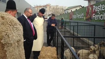 Atat te va costa mielul de Paste! Vezi cu cat vinde Ghita Ciobanul kilogramul de miel!