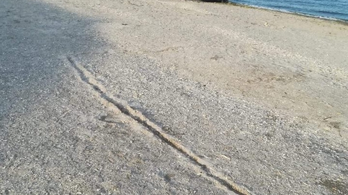 Aroganță de prost gust la Eforie Nord. A intrat cu mașina pe plajă și...