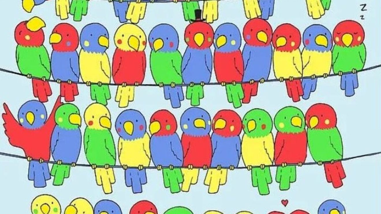 Test IQ exclusiv pentru genii | Identificați singurul papagal fără pereche!