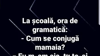 BANC | Ora de gramatică: „Cum se conjugă ‘mamaia’?”