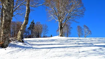 Prognoza meteo 20 februarie: Ger năprasnic în toată țara