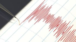 Două cutremure au zdruncinat România azi-noapte! Unul dintre seisme a fost de mare adâncime