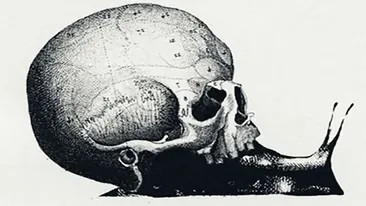 Test de personalitate | Primul lucru pe care-l vezi în poza asta îți spune care e job-ul tău ideal