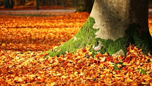 Prognoza meteo 6 octombrie 2018: Meteorologii au anunțat că valorile termice sunt peste cele obişnuite