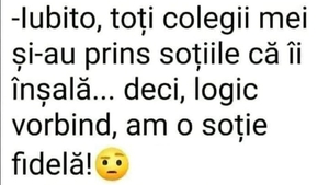 BANC | "Iubito, toți colegii și-au prins soțiile că îi înșală. Deci, logic vorbind, am o soție fidelă"