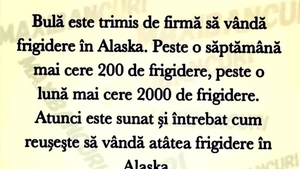 BANC | Bulă este trimis de firmă să vândă frigidere în Alaska