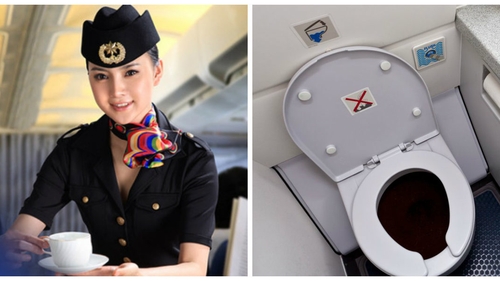Secretul stewardeselor: cum elimină ele mirosul neplăcut din toaletele avioanelor. Poţi face şi tu asta