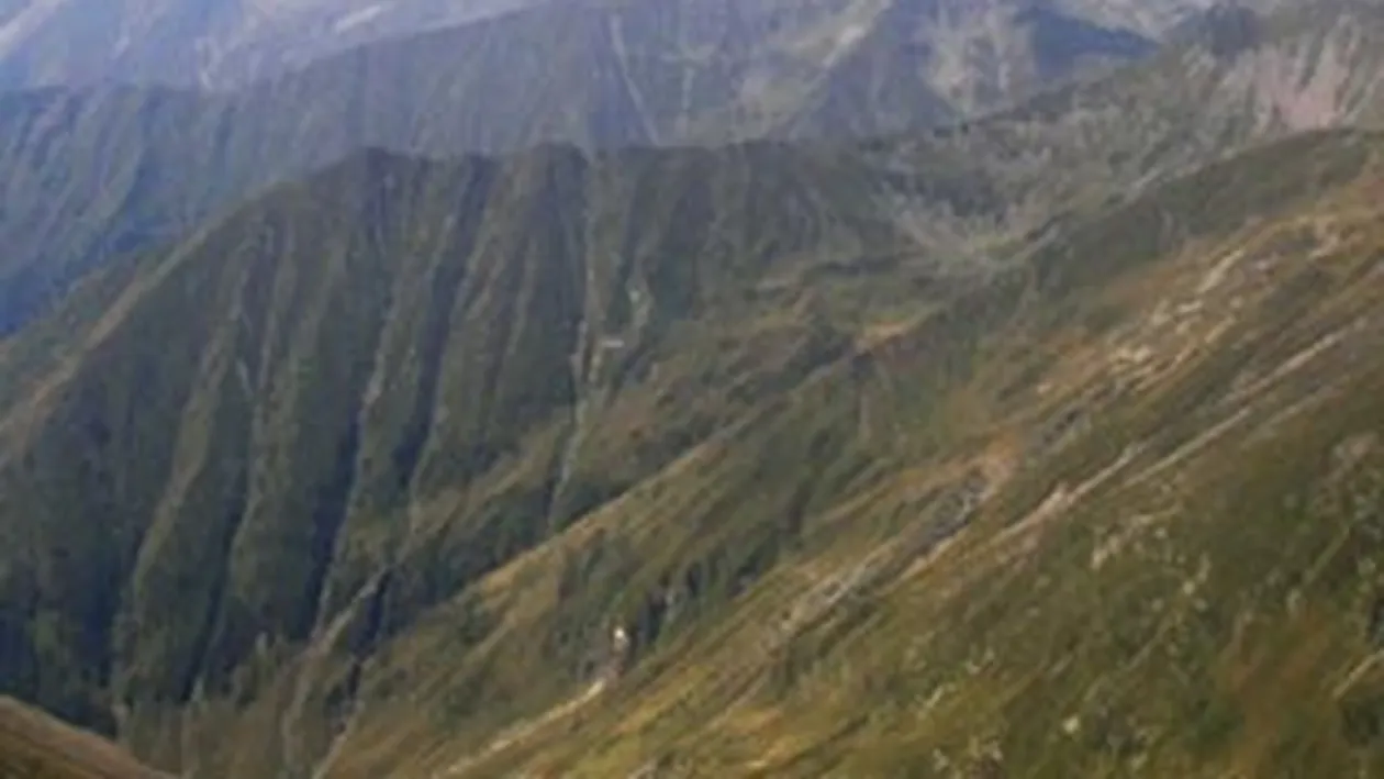 Un elev de 11 ani care era intr-o excursie cu colegii a murit dupa ce a cazut intr-o rapa