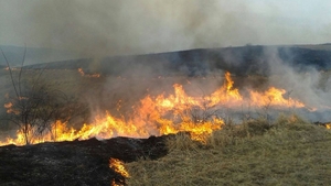 Incendiu puternic la marginea Reșiței, 150 de case în pericol. Culmea, localnicii fac selfie-uri | VIDEO