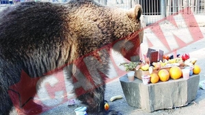 A primit tort de fructe de ziua lui
