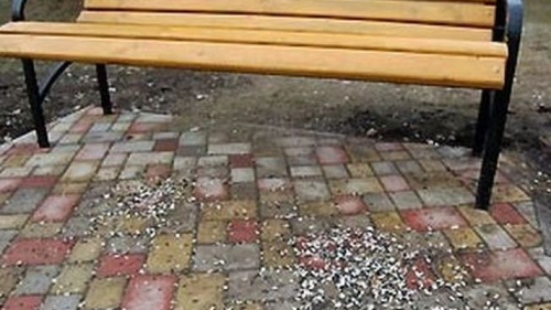 Ce amendă a primit un tânăr din Arad pentru că a scuipat semințe pe jos