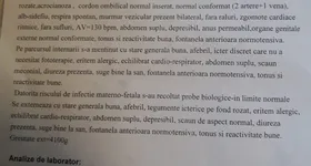 Galerie foto - poza 2