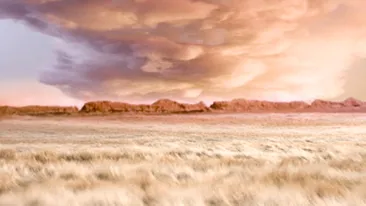 Face arta din blana falsa si bumbac