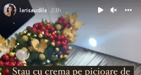 Galerie foto - poza 4