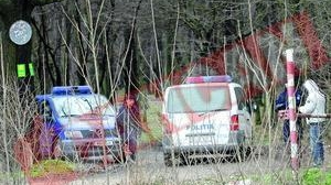 Se strange latul in cazul armamentului furat din depozitul de la Ciorogarla
