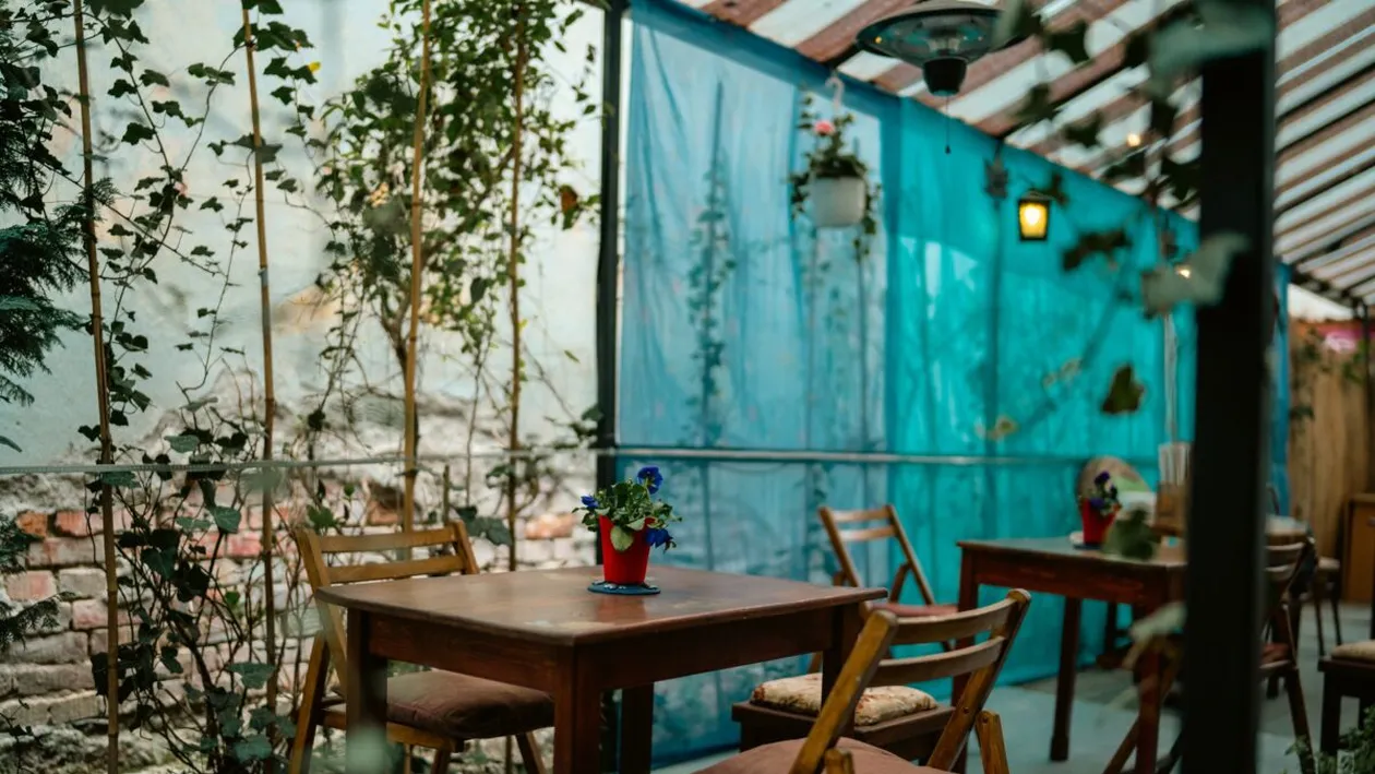 Cât au avut de plată două turiste din Grecia, după ce au consumat două sucuri şi o gustare? I-am zis ospătarului că e o greşeală