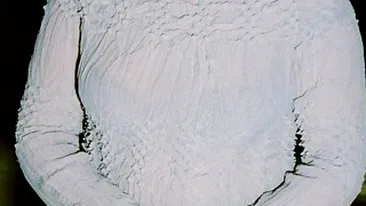 Cantareata de romante Silvia Lungeanu si-a luat adio de la prieteni! Vezi gestul care le-a adus aminte apropiatilor de Malina Olinescu