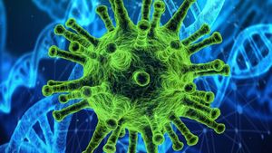 Coronavirus România, 6 februarie. 2.611 de români s-a infectat, în ultimele 24 de ore, cu noul coronavirus