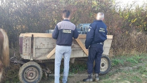 S-au tras focuri de armă la granița de nord! Doi români încercau să bage în țară marfă ilegală, cu căruța