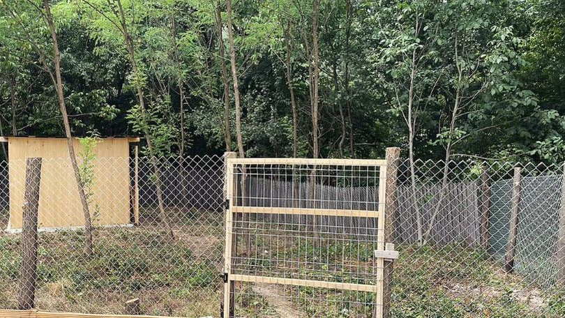 Cum arată casa de la „ţară” a Danei Nălbaru? Are prispă şi lămpi solare. FOTO