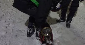 Galerie foto - poza 1