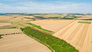 Cât teren dețin străinii în România, de fapt. Procentul nu este unul foarte mare