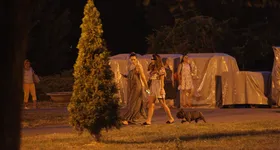 Galerie foto - poza 3