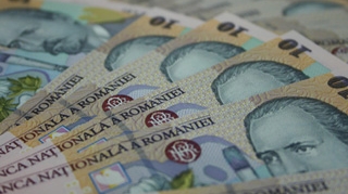 S-a furat... darul! Acesta a fost strigatul de disperare al unor miri din Constanta
