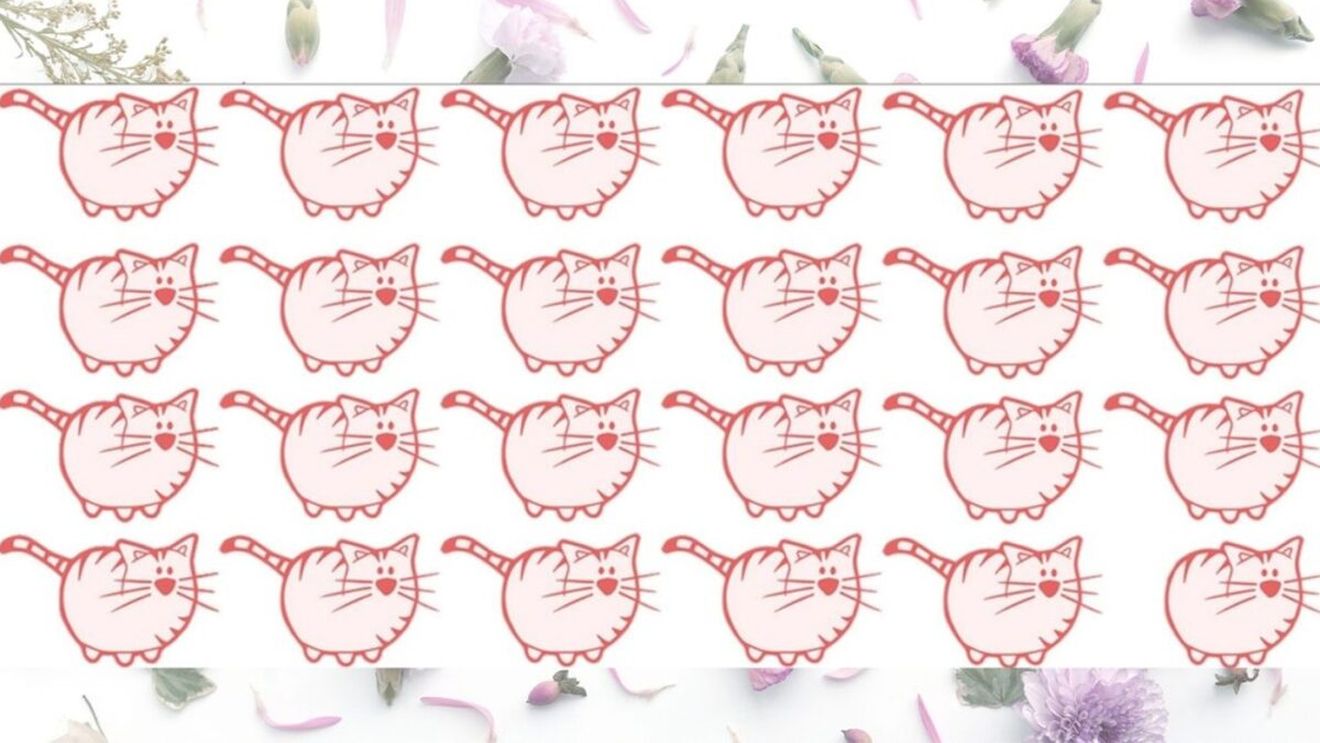 Test de logică | Găsiți singura pisică diferită de toate celelalte!