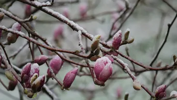 Prognoza meteo azi, 17 martie 2026. Răcire în Transilvania: temperaturi aproape de îngheț în depresiunile montane