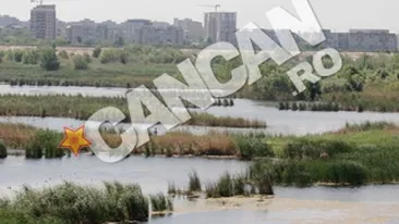 Actiunea de ecologizare a Lacului Vacaresti incepe sambata! Zeci de voluntari participa la evenimentul: Delta Vacaresti, un plaman in Bucuresti