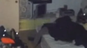 Au crezut ca au o fantoma in casa! Ce au descoperit cand au coborat in pivnita incuiata! Nu credeam ca e posibil asa ceva