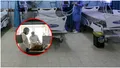 Boala gravă cu care a fost diagnosticată o familie din România: mama a murit, fiul și tatăl sunt internați în spital
