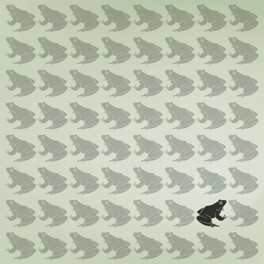 Aceasta este broasca diferită/foto: Facebook 