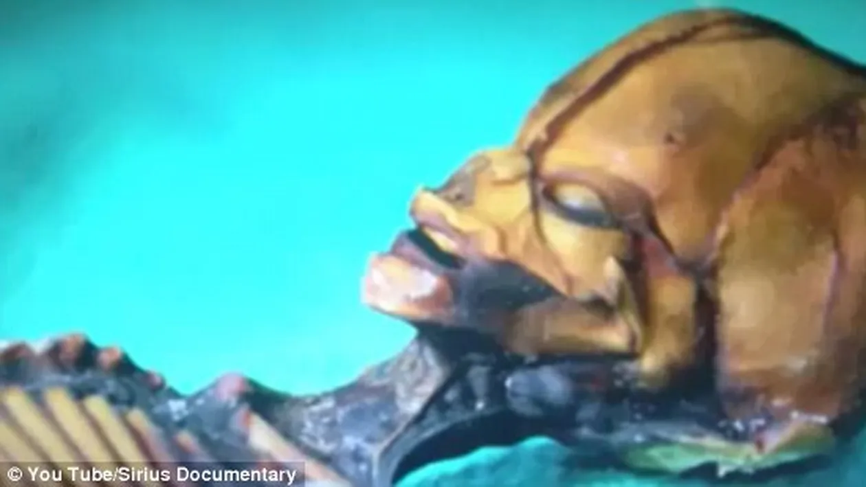 E.T exista! Are 15 centimetri, iar pozele cu el fac ravagii pe internet!