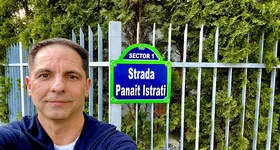 Galerie foto - poza 2