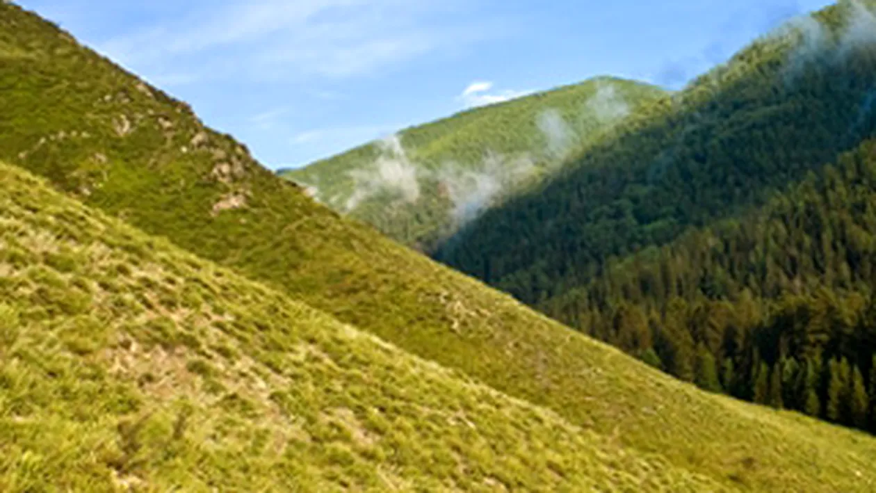 Doi batrani, raniti dupa ce s-au prabusit cu masina in rapa!