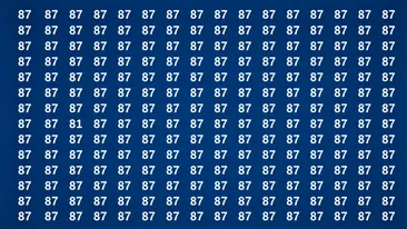 TEST IQ | Ești un geniu dacă poți identica numărul 81 în maximum 15 secunde