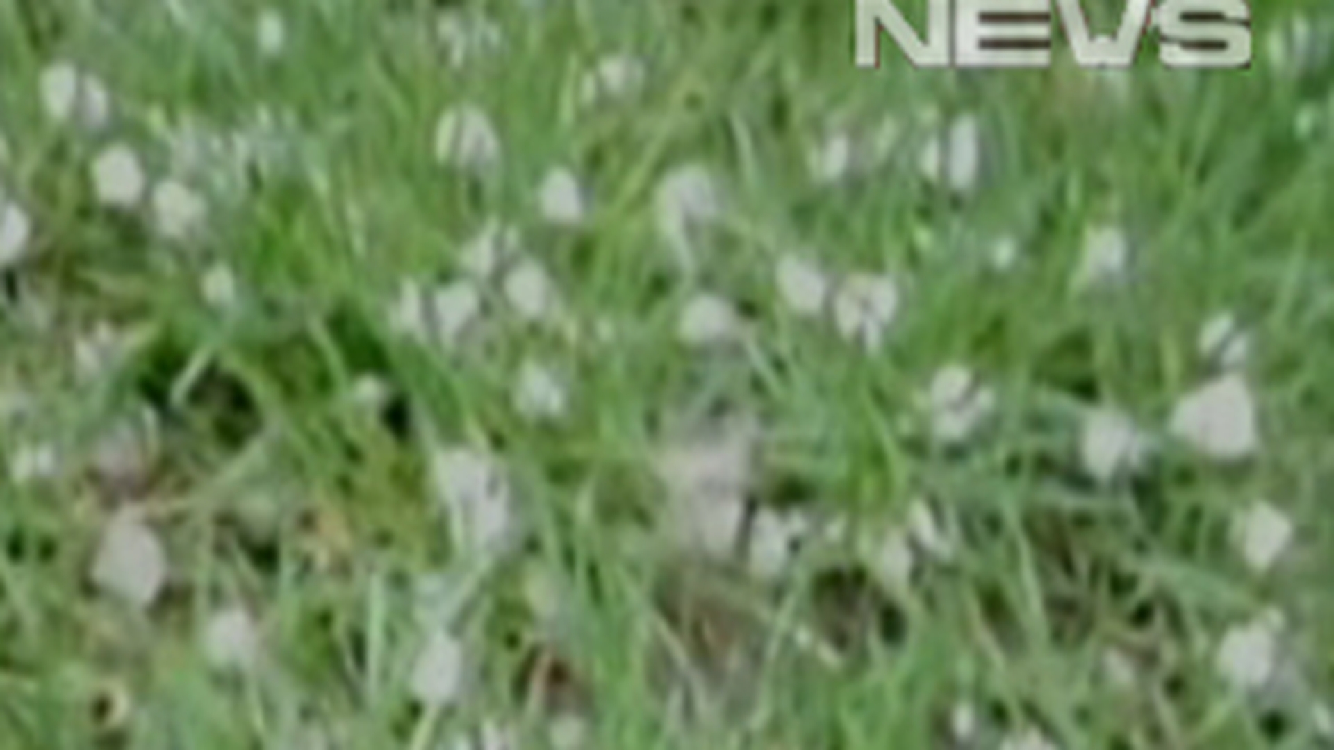VIDEO Vreme rece in urmatoarele trei zile!
