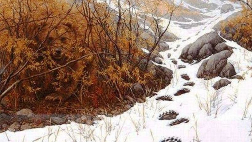 Test de inteligență exclusiv pentru genii | Ale cui sunt urmele de pași lăsate în zăpadă?