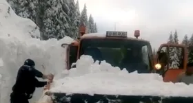 Galerie foto - poza 1