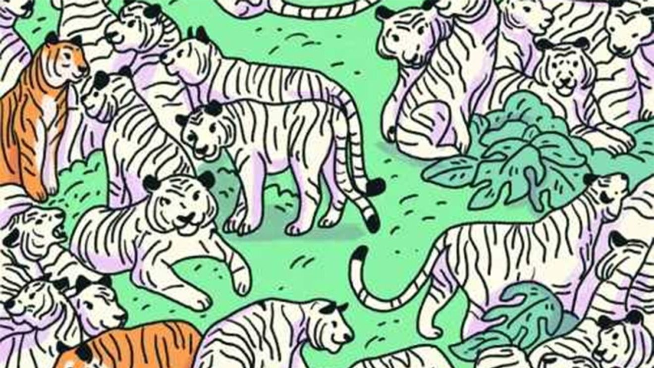Test de logică | Găsiți zebra ascunsă printre acești tigri!