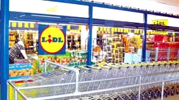 LIDL a scos o geantă de mână inspirată din căruciorul de cumpărături. Cine o poate obține gratuit