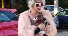 Galerie foto - poza 3