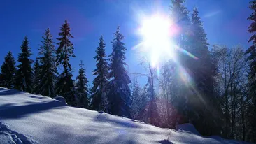 Temperatura ajunge pana la 16 grade! Prognoza meteo pentru luni si marti